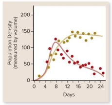 Which statement correctly interprets the graph?