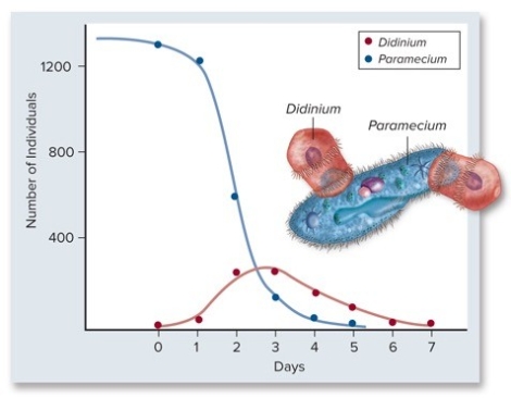 Which statement is the correct interpretation of the graph?