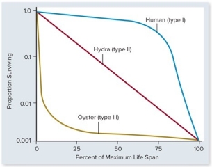 -Which species would be most likely to have a Type III life history?