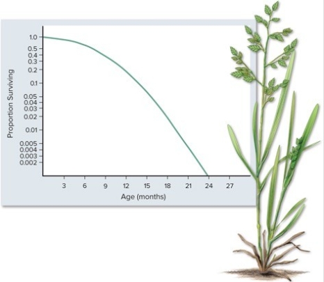 What is the most reasonable conclusion that can be made from data graphed in the figure?