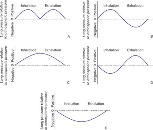 What would a graph of internal lung pressure compared to atmospheric pressure look like during one inhalation/exhalation cycle in a frog?