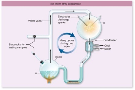The apparatus in the figure was used by Stanley Miller and Harold Urey to study the origin of life on Earth.What compound was excluded from the apparatus so that it would form a reducing atmosphere?  