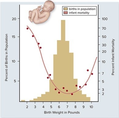 In the graph above,how can the change in infant mortality be explained as birth weight increases from 2 to 7 pounds?