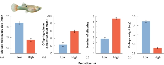<strong>Which panel best illustrates the most direct effect of predation? </strong> A) a B) b C) c D) d