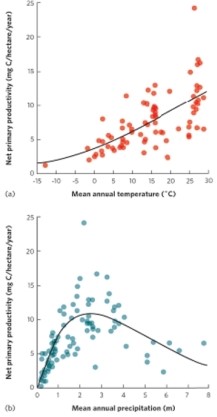 (Figure 20.9) The figure shows that as mean annual temperature increases, net primary productivity also increases. Net primary productivity increases with mean annual precipitation until approximately 3 meters of precipitation, after which productivity declines. Why does this decline occur?