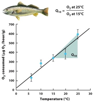 What concept does the graph illustrate? Explain why it is important.