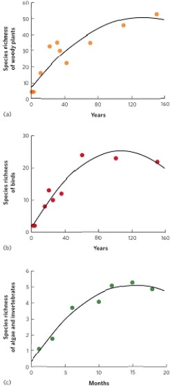 <strong> (Figure 19.11) These graphs show that succession is associated with a rapid increase in species richness that slows and levels off over time. How might you explain a graph showing succession with an initial increase in species richness followed by a decline in species richness over time?</strong> A) a disturbance such as fire B) facilitation C) inhibition D) tolerance