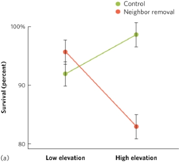 <strong> The graph suggests that</strong> A) plant survival rate is not affected by elevation. B) plant survival rate is not affected by the presence or absence of a neighboring species. C) plant survival is dependent on the presence of a neighboring species. D) plant survival is independent of the presence of a neighboring species.