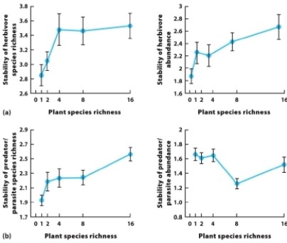<strong> What do the data in the graphs suggest about the resistance of the community to disturbance?</strong> A) Communities with any amount of plants are very resistant to disturbance. B) Community resistance depends on whether herbivores, predators, and parasites are present. C) Herbivore species richness and abundance both increase with small changes in plant species richness. D) The stability of herbivore species richness and abundance responds independently of plant species richness.