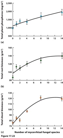 <strong> (Figure 17.22) Researchers manipulated the number of species of mycorrhizal fungi living in the soil and measured the effects on plant biomass and phosphorus uptake. Their results are shown in the figure. Based on their results, the most likely way the extinction of mycorrhizal fungi species would affect the ecosystem is to</strong> A) reduce plant growth. B) increase plant growth. C) reduce plant extinction. D) increase plant extinction.