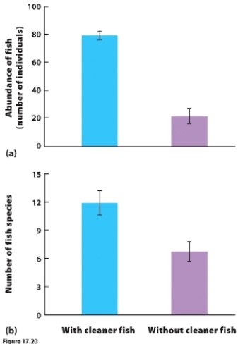<strong> (Figure 17.20) Researchers experimentally removed cleaner fish from some coral reef communities and left cleaner fish present in other communities. Their results are shown in the figure. Based on these results, extinction of cleaner fish would result in _____ fish species, and each species would be _____ abundant.</strong> A) fewer; more B) more; more C) fewer; less D) more; less