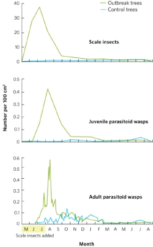 The graphs show the result of experiments involving the crop pest the California red scale insect Aonidiella aurantii and the parasitoid wasp Aphytis melinus. What did the results show about the populations of wasps and scale insects on control and outbreak trees? Is the parasitoid wasp a good biocontrol candidate for reducing scale insects?