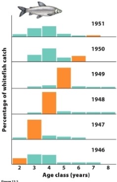 <strong>Based on the figure, which year produced an unusually high number of offspring? </strong> A) 1942 B) 1943 C) 1944 D) 1945 E) 1946