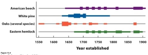 <strong>Which conclusion does the figure support? </strong> A) Recruitment of all species has been constant. B) Oak may have had increased recruitment since 1650. C) White pine may have had decreased recruitment since the late 1700s. D) Eastern hemlock has had decreased recruitment since 1650.