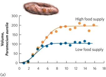 <strong>The figure shows the change in population size of Paramecium from Gause's experiment, raised in either high-food or low-food conditions. Based on this figure, how was the logistic growth model for Paramecium changed by adding food? </strong> A) High food increased r. B) High food decreased r. C) High food increased K. D) High food decreased K.