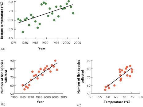 Researchers examined data collected between 1985 and 2006 on diversity of fish in the North Sea, average bottom temperatures, and how species diversity was affected by temperature. According to the figure, what did they find? What did they conclude about the cause of the change in fish diversity?