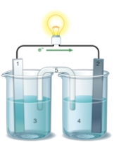 If the accompanying drawing of an electrochemical cell represents an iron-nickel cell, use the partial activity series included to select the half-reaction represented by the RIGHT side of the cell. Zn <font face=symbol></font> Zn<sup>2+</sup> + 2e<sup>-</sup> Fe <font face=symbol></font> Fe<sup>2+</sup> + 2e<sup>-</sup> Co <font face=symbol></font> Co<sup>2+</sup> + 2e<sup>-</sup> Ni <font face=symbol></font><font face=symbol></font>Ni<sup>2+</sup> + 2e<sup>-</sup> Cu <font face=symbol></font> Cu<sup>2+</sup> + 2e<sup>-</sup>