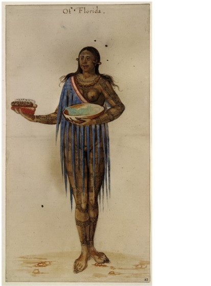 <strong>What can be inferred from the drawing Florida Woman?  </strong> A) That Florida had unique crops not found in other parts of America B) That Native American women were more associated with food practices than their male counterparts C) That corn was a major contribution of Native Americans to the rest of the world D) That native people had many varied ways of preparing corn <div style=padding-top: 35px> 