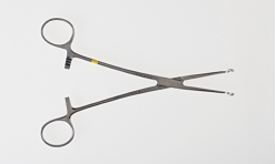 NARRBEGIN: Figure 09-44 A You have just handed the surgeon the instrument pictured above. He is most likely performing surgery on what blood vessel?