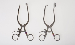 <strong>NARRBEGIN: Figure 08-32 A Identify the instrument pictured above.</strong> A) Taylor B) Williams retractor C) Meyerding D) Hibbs