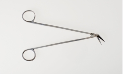 <strong>NARRBEGIN: Figure 06-08 A Identify the instrument pictured.</strong> A) Mayo-Noble scissors B) Potts-Smith scissors C) Metzenbaum scissors D) Jorgensen scissors
