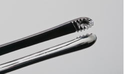 <strong>NARRBEGIN: Figure 02-88 B This tip belongs to what type of forceps?</strong> A) DeBakey B) Russian C) Adson D) Ferris-Smith
