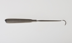 <strong>NARRBEGIN: Figure 02-40 A Which of the following is not a name for the retractor pictured above?</strong> A) Green B) Goiter C) Loop D) Senn