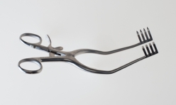 <strong>NARRBEGIN: Figure 02-24 A Identify the retractor pictured above.</strong> A) Weitlaner B) Cerebellar C) Beckman D) Richardson