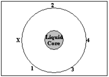 <strong>NARRBEGIN: Diagram 20-01 Diagram 20-1   NARREND Diagram 20-1 shows a schematic of Earth.If an earthquake occurs at point X on Earth's surface,at which of the locations indicated by numbers would observers receive P waves from this earthquake?</strong> A) 1 & 2 B) 3 & 4 C) 1,2,& 3 D) only 4 E) all of them <div style=padding-top: 35px> 
