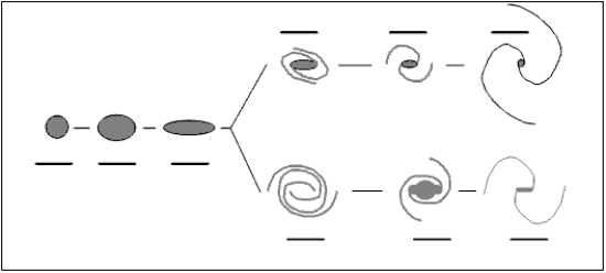 Label each galaxy in the tuning fork diagram below.Record your labels on the lines provided above or below the galaxy.  <div style=padding-top: 35px> 