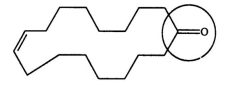 <strong>One source of a musky odor in perfumes is civetone, a compound extracted from the scent gland of the civet cat. Identify the functional group circled. </strong> A) aldehyde B) ketone C) alcohol D) carboxylic acid E) oxide