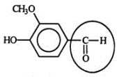 <strong>Vanillin is a flavoring agent which occurs naturally in the vanilla bean, the seed of an orchid. Identify the functional group circled. </strong> A) aldehyde B) ketone C) alcohol D) carboxylic acid E) carbonyl