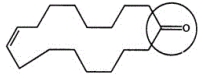 <strong>One source of a musky odor in perfumes is civetone, a compound extracted from the scent gland of the civet cat. Identify the functional group circled. </strong> A) aldehyde B) ketone C) alcohol D) carboxylic acid E) oxide