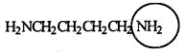 <strong>Putrescine is produced during the decay and protein breakdown of meats and is responsible for some of the odor found in them. Identify the functional group circled. </strong> A) aldehyde B) ketone C) amide D) nitrile E) amine