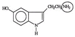 <strong>Serotonin transmits nerve impulses through the body. Identify the functional group circled. </strong> A) aldehyde B) alcohol C) amide D) amine E) nitride