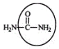 <strong>Urea carries waste nitrogen from the body in urine. Identify the functional group circled. </strong> A) aldehyde B) alcohol C) carboxyl D) amine E) amide