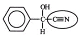 <strong>The millipede ejects the compound shown below to protect itself from its enemies. Identify the functional group circled. </strong> A) nitrile B) alcohol C) amide D) amine E) nitro