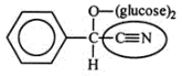 <strong>Amygdalin (Laetrile) was once touted for its potential anticancer activity. However, the claims were never scientifically verified. Identify the functional group circled. </strong> A) carbonite B) ether C) amide D) amine E) nitrile