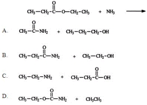 <strong>Identify the two principal products of the reaction between ammonia and ethyl propionate. </strong> A) A B) B C) C D) D E) None of these choices are correct.