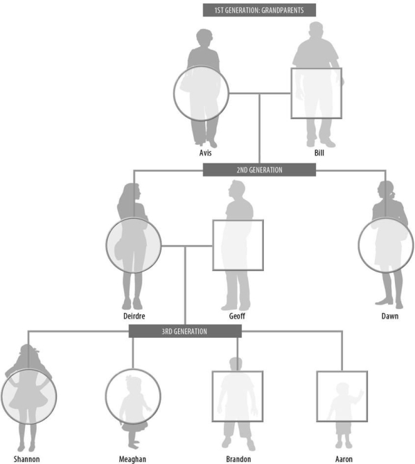 <strong>Albinism is a recessive disorder in which the skin and hair fail to produce pigment.The following question(s) ask you to evaluate the pedigree chart shown here in which N is the allele for normal pigmentation and n is the allele for albinism.The shaded circles for Deirdre and Shannon represent the only individuals expressing the disorder. What is Bill's genotype?</strong> A)NN B)Nn C)nn D)Cannot be determined