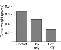<strong>Read the following scenario to answer the following question(s). Biomedical scientists have recently developed an anticancer drug delivery system that sneaks the anticancer drug into cancer cells before releasing it. They were able to do this by using two sets of liposomes. An anticancer drug (Doxorubicin (Dox))bound to DNA molecules was added into one set of liposomes, and a high concentration of ATP molecules were added to the other set of liposomes. The drug is inactive when bound to DNA molecules. Researchers inject both types of liposomes into cancer cells, and upon doing so their contents are released. The ATP molecules from one set of liposomes bind to the DNA molecules from the other set of liposomes)and activate the drug, thus inducing cell death and decreasing tumor size. Mice with breast cancer tumors were treated with this liposome system to test the effectiveness of the drug. The scientists performed three trials-one with both types of liposomes (Dox + ATP), one with just the drug (Dox only), and one with a salt solution (control). Examine the figure below and answer the following questions. Which statement regarding these data is TRUE?</strong> A)The weight of the tumors did not change if treated with just the drug (Dox only)or both types of liposomes (Dox + ATP). B)Tumor weight decreases when you add just the drug (Dox only)to cancer cells. C)Adding just the drug (Dox only)or both types of liposomes (Dox + ATP)results in similar decreases in tumor weight. D)Dox must be entering the cancer cells via endocytosis to induce cell death.