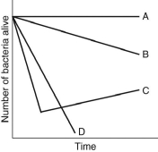 <strong>Read the following scenario to answer the following questions. Different species of bacteria are resistant to different types of antibiotics. For example, one species of bacteria may be resistant to an antibiotic that targets bacterial ribosomes but may not be resistant to a different antibiotic that targets bacterial cell walls. In order to figure out what type of antibiotic(s)a species of bacteria was resistant to, a researcher treated the bacteria with four different antibiotics (A, B, C, and D)and measured how many bacteria were alive over the course of a few weeks. The data that she collected are summarized below. The bacteria show the greatest resistance to which antibiotic?</strong> A)Antibiotic A B)Antibiotic B C)Antibiotic C D)Antibiotic D