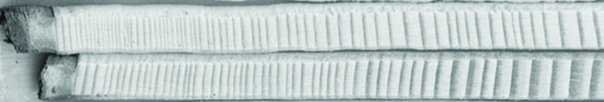 he width of tree rings provides insights into the environmental conditions experienced by a tree in the past. A way of sampling tree rings without cutting down a tree involves drilling out a narrow cylinder of wood from just beneath the bark to the center of a tree. The image below shows two samples of Picea abies (Norway spruce). The bark of the trees is on the left side, and the center of the trees is on the right, but off the photo. Examine this image to answer the questions. -The amount of growth in a season depends on climate conditions. Examine the image, and interpret the pattern of tree growth to estimate the conditions recorded in these trees.