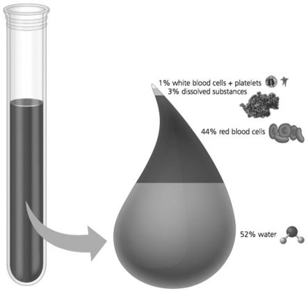 <strong>  In this figure, what do the dissolved substances and water represent?</strong> A)plasma B)erythrocytes C)leukocytes D)fibrinogen <div style=padding-top: 35px> 