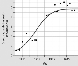 <strong>The line in between the data points on the curve is a trend line; a trend line shows the general pattern of the data points. In the curve, the trend line indicates that male fur seals reached carrying capacity in the year ________.  </strong> A)1915 B)1930 C)1940 D)1950 <div style=padding-top: 35px> 