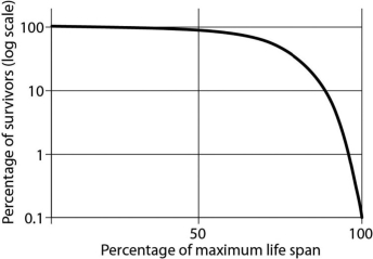 <strong>Which possible description best matches this figure?  </strong> A)Dolphins produce only single offspring at a time and provide parental care for many months. B)During mating frenzies, male and female squid aggregate and release hundreds of eggs and sperm into the water column. The fertilized eggs are often quickly preyed on by fish. C)The century plant grows for many years and reproduces and releases hundreds of seeds just once before it withers and dies. Because of the dry desert environment in which it lives, many of the seeds do not survive or are eaten. D)In some species of lizards and rodents, survivorship is constant over the life span. <div style=padding-top: 35px> 