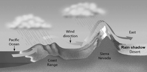 <strong>The figure indicates that ________. </strong> A)mountains can block the flow of moist air from a coast, causing radically different climates on opposite sides of a mountain range B)the direction of wind affects how much moisture evaporates in the photic zone of the Pacific Ocean C)rainfall creates freezing temperatures in mountain ranges D)groundwater runoff causes massive erosion at the base of mountain ranges