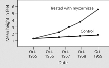 <strong> The figure shows results of a study where pine trees were treated with fungal mycorrhize to determine if the mycorrhize would affect the growth of the trees. Over the four-year study, only 36% of the control trees survived, while 85% of the pines treated with mycorrhizae survived. If the study was extended for another two years to the year 1961, what would you predict would occur with the control data and mean height of the pine trees?</strong> A)The control data would show a steep drop in mean height. B)The control data would continue to show a slight increase in height. C)The control data would show a steep increase in mean height.