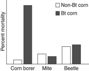 <strong>Please read the following scenario and then answer the following questions. Corn crops are susceptible to damage by different species of corn borer, an insect (a type of arthropod)that feeds and lives on corn plants. It is estimated that corn borers may cause up to $1 billion of damage a year to corn crops. Because of pests like the corn borer, researchers have created genetically modified pest-resistant crops. One type of pest-resistant crop, Bt corn, expresses a bacterial toxin that kills corn borers if they consume the toxin. While Bt corn has been planted and used in the United States since 1996, some researchers and members of the public continue to worry about negative effects of the Bt toxin on other animals, including arthropods and humans. In order to investigate the effects of Bt toxins on other animals, researchers conducted experiments where they fed arthropods Bt corn or non-Bt corn. A summary of the effects of eating Bt corn on single species of corn borer, mite, and beetle are shown in the figure below.   What can you conclude from the data in the graph?</strong> A)Corn borers are less likely to survive if they eat Bt corn compared to non-Bt corn. B)Mites have the highest percent mortality of the arthropods studied. C)Beetles are more likely to survive than mites when fed Bt corn. D)Bt corn affects the mortality of all three arthropods equally. <div style=padding-top: 35px> 