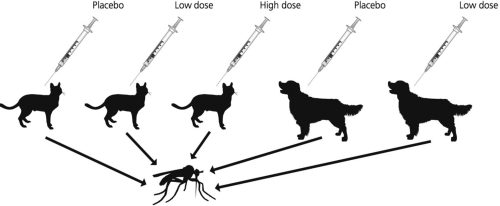 <strong>Researchers tested RNA vaccines against the West Nile virus in dogs and cats. The study design for this experiment is shown in the figure. What group(s)was(were)the experimental groups? </strong> A)placebo for dogs and cats only B)low dose of vaccine for cats and dogs only C)high dose of vaccine for cats and low dose of vaccine for dogs only D)low dose and high dose of vaccine for cats and low dose of vaccine for dogs only
